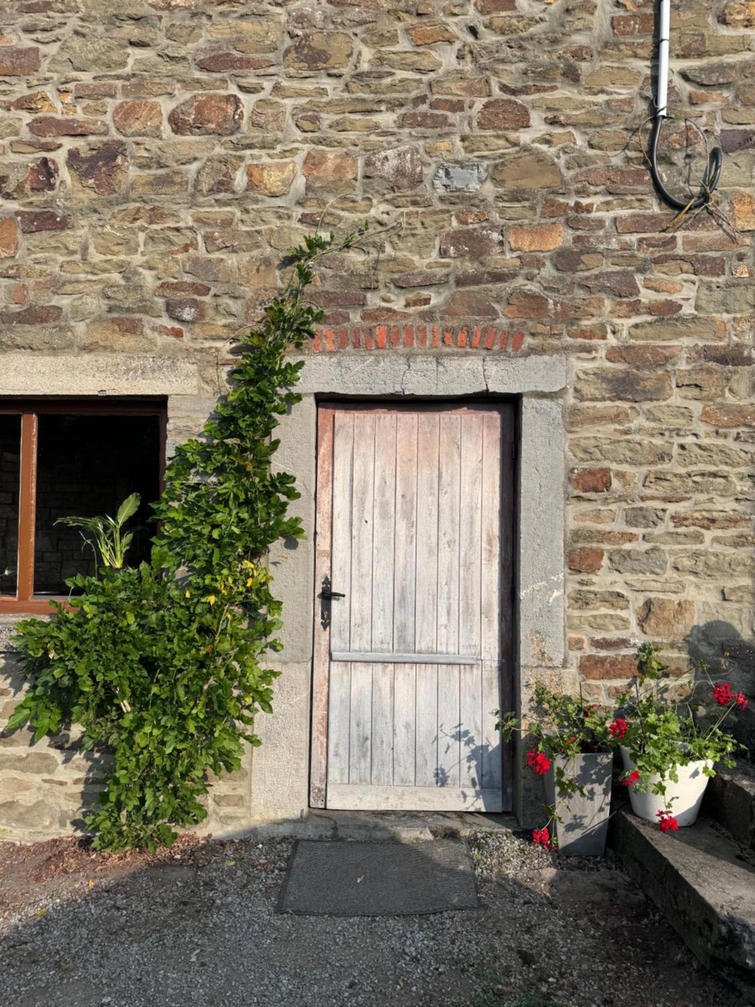 Buteo Chambres D'Hotes & Espresso Lesterny エクステリア 写真